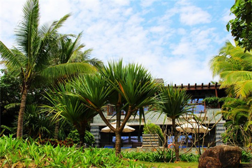 深海周氏纸包鱼