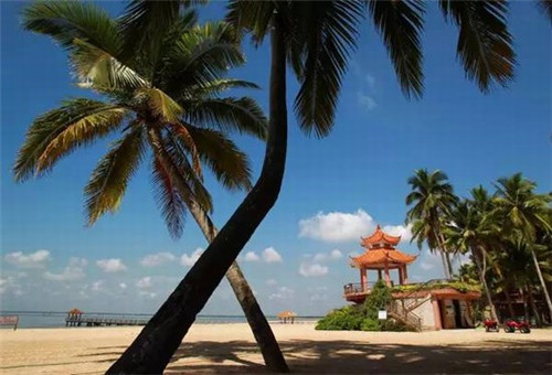 知秋轩楼盘评测（知秋新书）