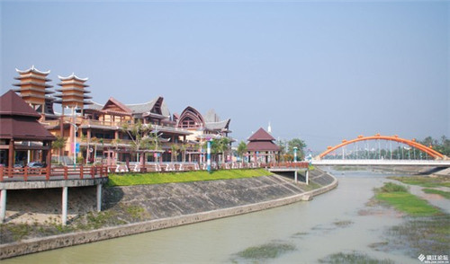 白菜炒木耳怎么炒法（白菜炒木耳的做法大全家常）