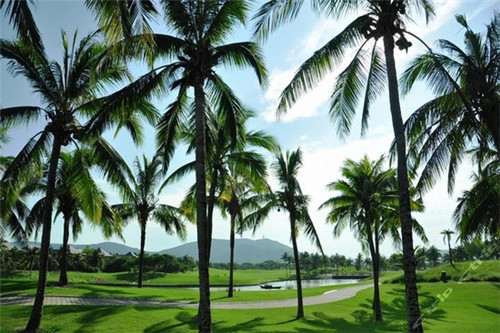 装修如何弱化横梁处理好（装修如何弱化横梁处理好的方法）