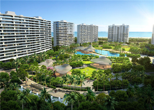 漈头村向日葵（2021永嘉向日葵）