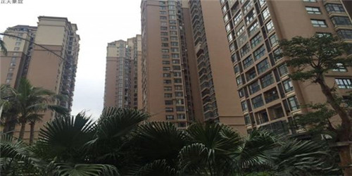 当年手机店的歌叫什么（手机店何去何从）