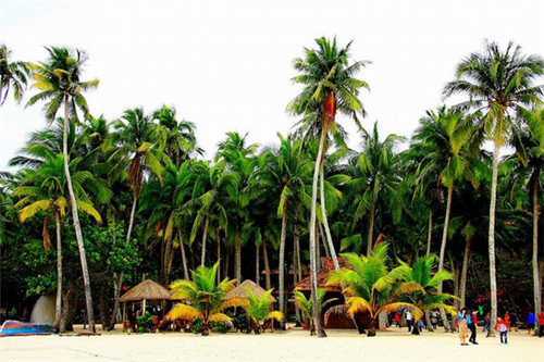 歌词里有爱的漩涡是什么歌（爱的漩涡谁唱的）