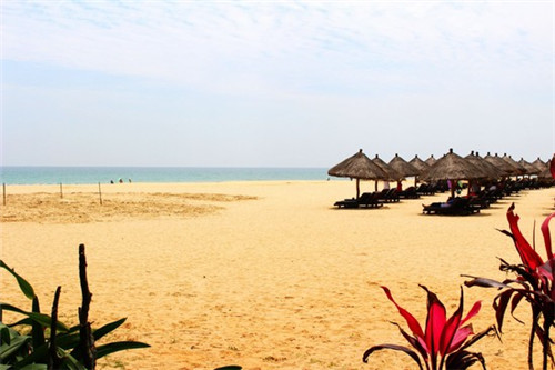 龙子湖岛上有什么景点（龙子湖岛上有什么景点吗）